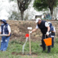 Wali Kota Alfin dan jajaran ASN Kota Sungai Penuh turun ke jalan menggelar gotong royong akbar serentak bersama warga pada Minggu (25/10).(poto: istimewa).