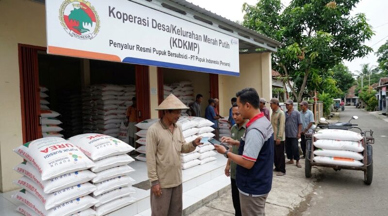 Ilustrasi Petani menunjukkan KTP saat menebus pupuk subsidi melalui aplikasi di Koperasi Desa Merah Putih (KDKMP).(poto: AI).