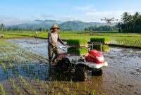 Petani mengoperasikan mesin penanam padi modern di lahan sawah dengan bantuan drone penyemprot udara.(poto: AI).