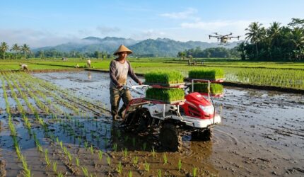 Petani mengendalikan mesin penanam padi otomatis di sawah basah berlatar bukit dan drone terbang.