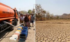 BMKG Ungkap El Nino Sangat Kuat Landa Jawa Timur hingga April 2027